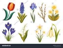 child lolita pussy|Dolce&gabbana ウィメンズ | SSENSE 日本