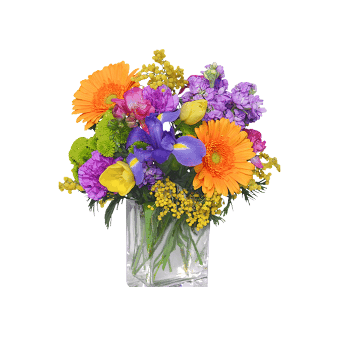 Stems Florist by null