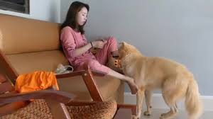 Girl animal sex php x Girl animal sex