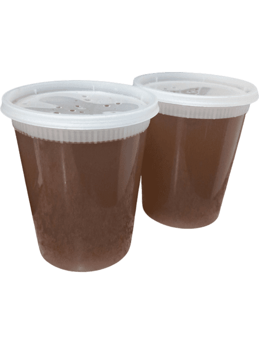 Pho Hong Phat - Vietnamese Pho Restaurant, Vancouver, WA by null