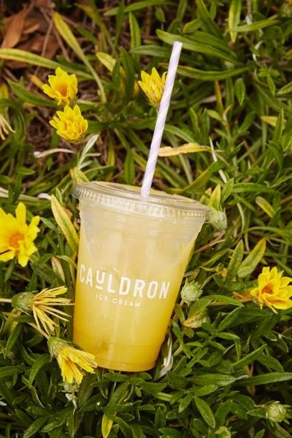 Cauldron Ice Cream by null