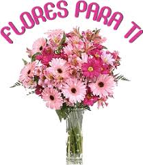 images?q=tbn:ANd9GcRtjWvt2_sRBkaw8NWu1S2_sNfV4kUVcEu5ThibbS9w321ToPfU8LNci27k