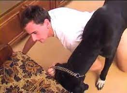 Gay Men And Animals | www.xxxboxes.com