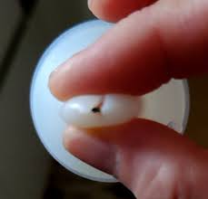 乳首 拡張|ニプル拡張水着 | 長い草◾️7、8冊目発売中