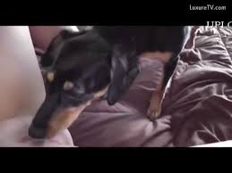 Off the leash sonya dog porn jpg x Wisconsin fucks dog