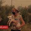 ギリシャで山火事続く、過去30年で最大の熱波 - BBCニュース