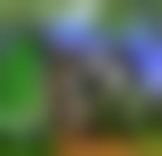 horse sex nude|Sex HD MOBILE Pics Naked Horse Riding Nakedhorseriding Model Warm European  Mobi Vids