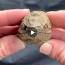 Trilobitlerin Şaşırtıcı Evrimi ile ilgili video