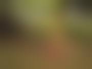 野外露出 deko|野外露出】夫公認でセフレ共有に溺れるFカップ社長妻32歳／公衆電話オナニー／リモバイ散歩／夫に見せつけ野外SEX【個撮】 |  アダルト動画・画像のコンテンツマーケット Pcolle