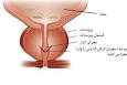 Image result for u202bچگونه اب زن ميايدu202c