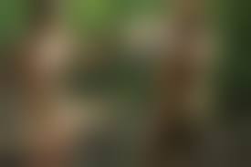 teens nudist life|Reading anti‐circumcision activism in Clothed with the Sun: The Quarterly  Journal of Clothes‐Optional Living - Allan - 2023 - The Journal of American  Culture - Wiley Online Library