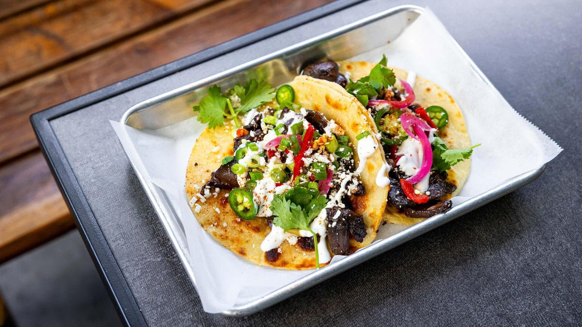 The Golden Bear by null