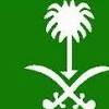 عمليات البحث الشائعه الجمعة، ١٣