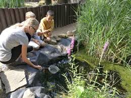 rajce.idnes.cz backyard 37|Dům dětí a mládeže... - Dům dětí a mládeže Kralovice, Kožlany