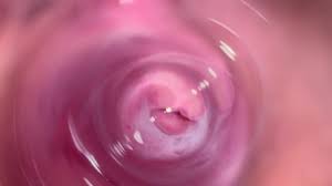 Japanese camera inside vagina jpg x Camera in pussy