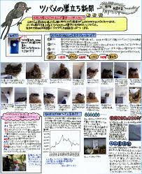 jc エロ 辻作品　ナナ|甘詰、YA嵐で新作。「ナナカオ」はYA本誌へスライド - コミックナタリー