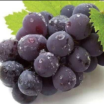 Lotus Food Company by null