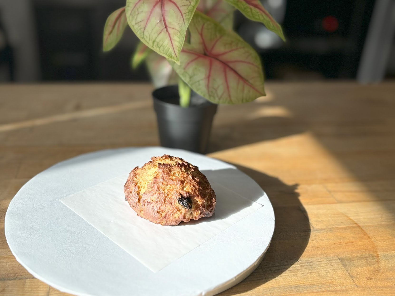 Little Food Studio by null