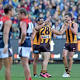 Hawthorn destroy hapless Melbourne by 105 points to re-establish authority 