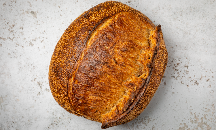 Friends and Family Silverlake by null