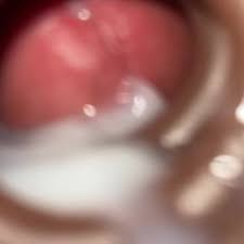 Camera inside pussy fully compilation pornzog free porn clips jpg x Camera inside vagina