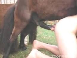 Man fuck a gay horse gay beast com beastiality porn tube jpg x Gay horse sex