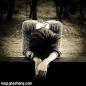 Image result for u202bميدونم که خيلي ها با اين آهنگ حال کردنu202c