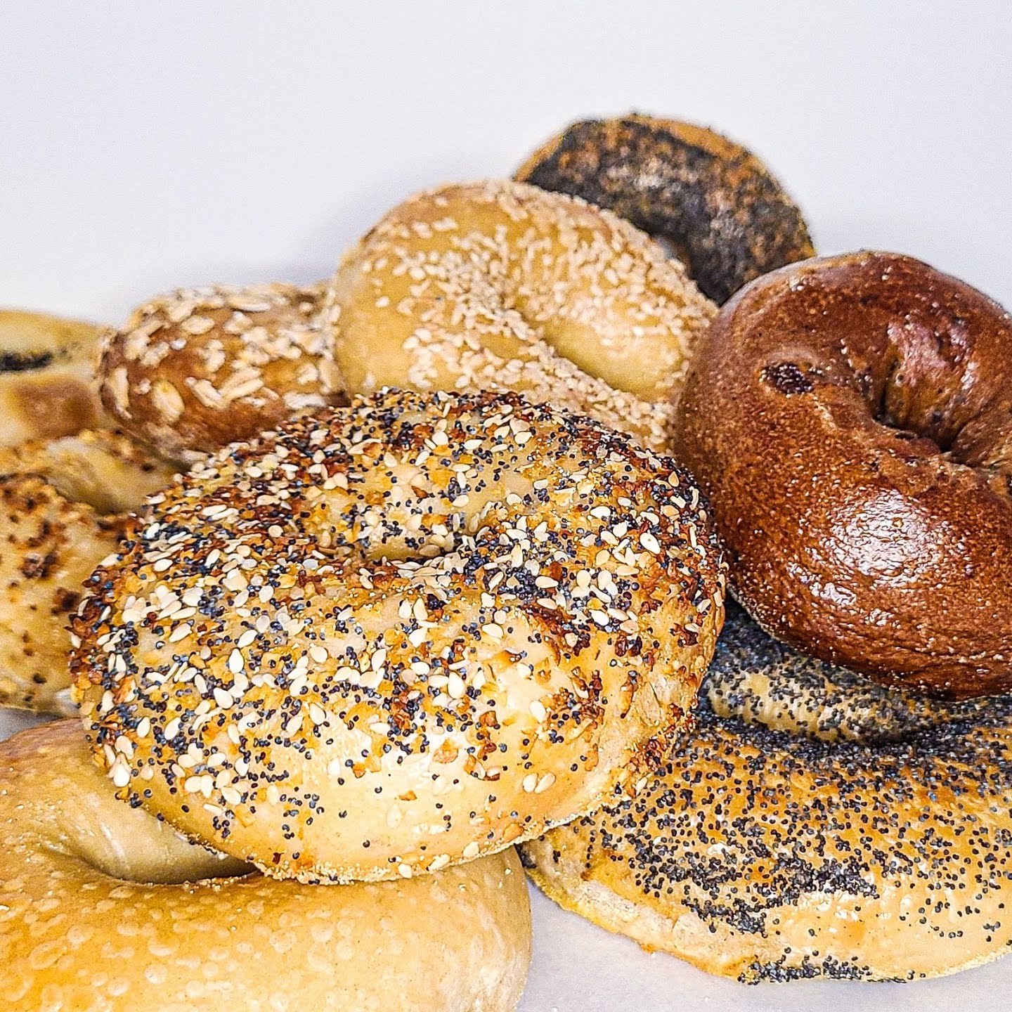 Bullfrog Bagels by null