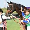 【セントウルSレース後コメント】メイケイエール池添謙一騎手ら ...
