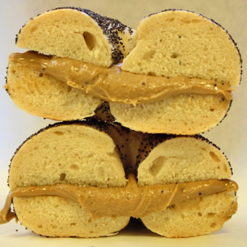 The Bagel Project by null