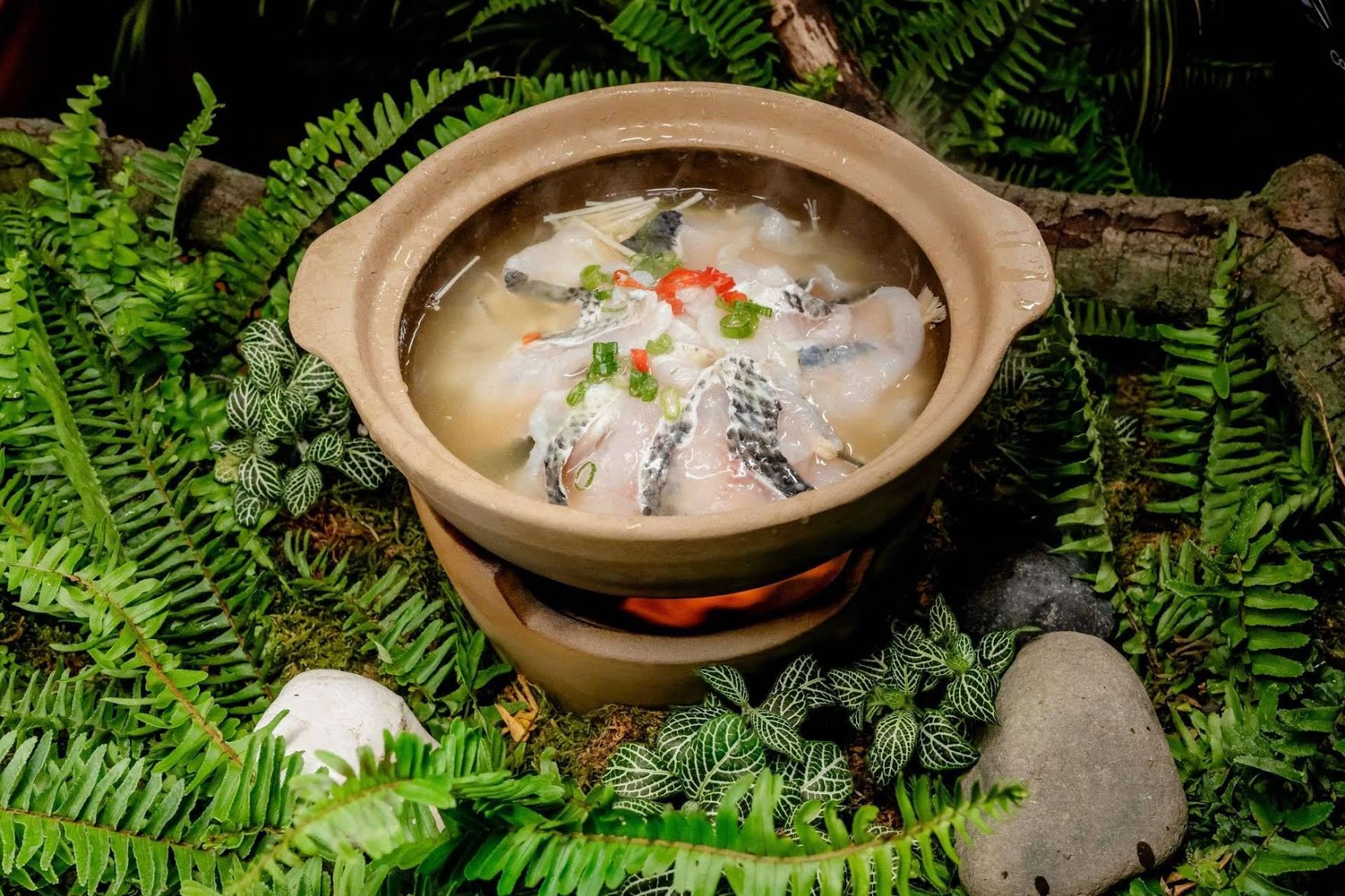 Mountain House by null