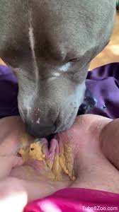 Nasty mistress likes making her dog lick her wet pussy zoo porn dog sex zoophilia jpg x Dog licking pussy