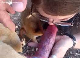 Goth girl phaedra sucks dog cock jpg x Girl sucking dog dick