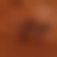 azov nude boys|Boys in the sauna in the nude (75 photos) - porn ddeva