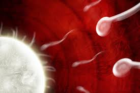 incest 3d pregnancy|Age of consent in the United States - Wikipedia