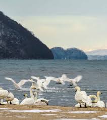 石黒陽 肉便器 tumblr   ＠＠＠＠ 5|川奈舞さん（あすか伊央さん） - きれいなお姉さん【無修正】