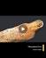 Eski Mısır'da Mumyalama Sanatı ile ilgili video