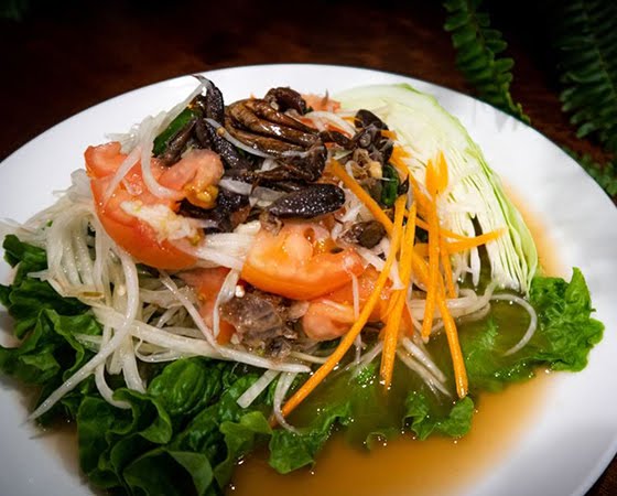 My Little Home Thai Kitchen by null