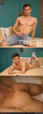 Развел falcon al tommy gold jpg x Tommy gold