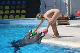 Dolphin fucks girl jpg x Dolphin fucks girl