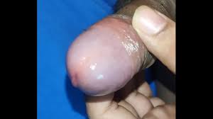 Indian penis jpg x Indian penis