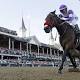 Preakness Stakes analysis 2016 