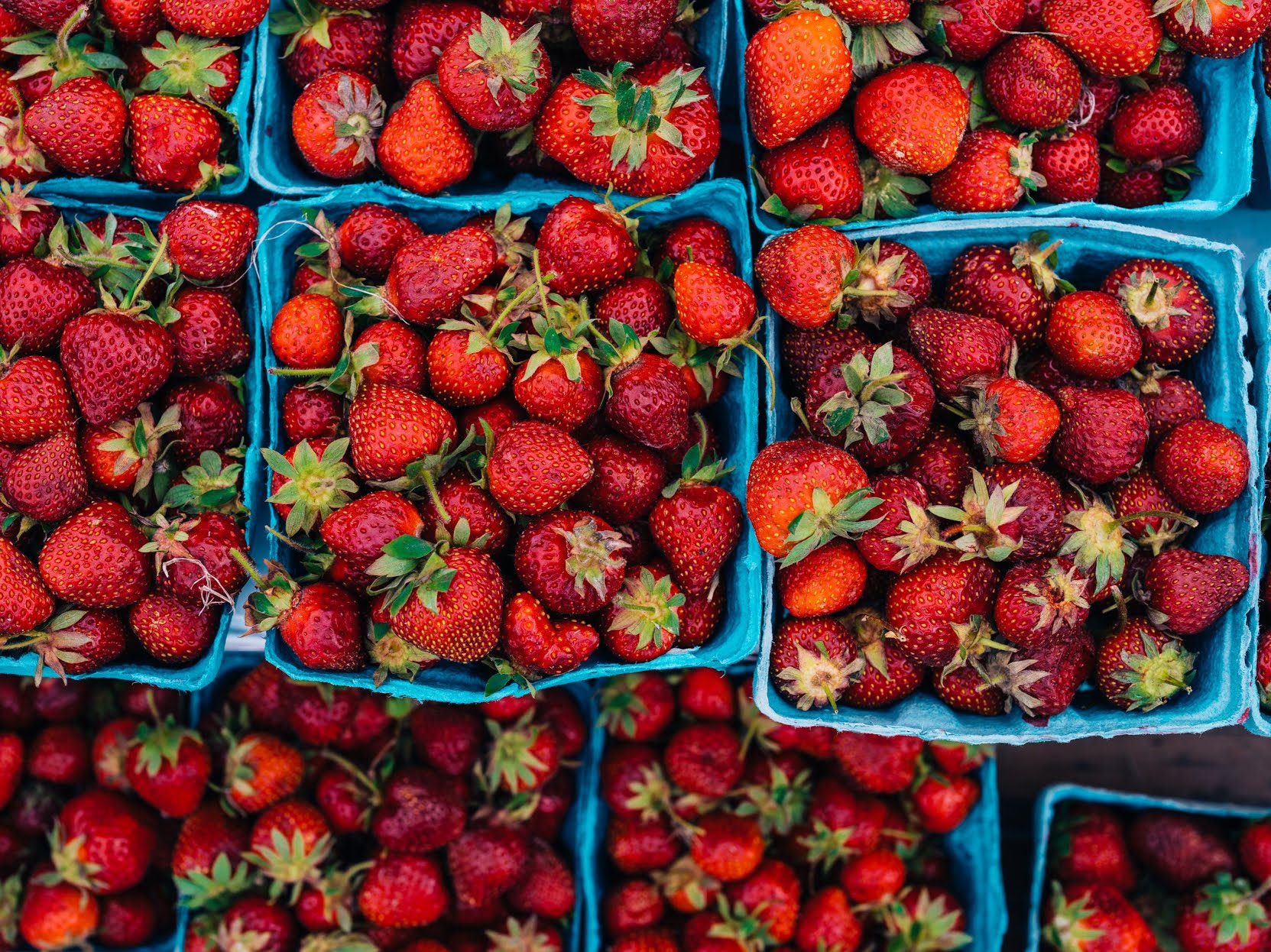 Breezy Hill Orchard by null