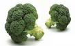 Image result for u202bبذر منداب چيستu202c