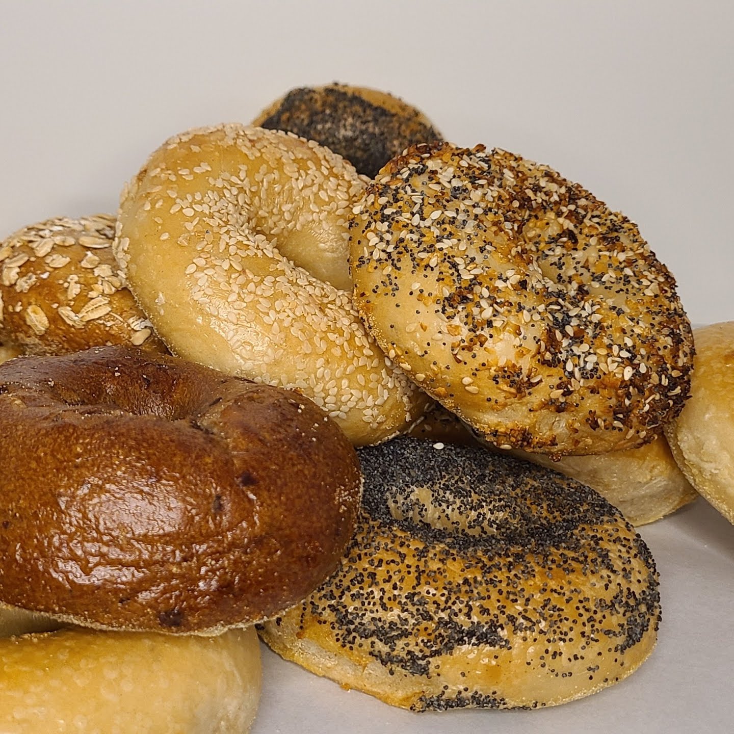 Bullfrog Bagels by null