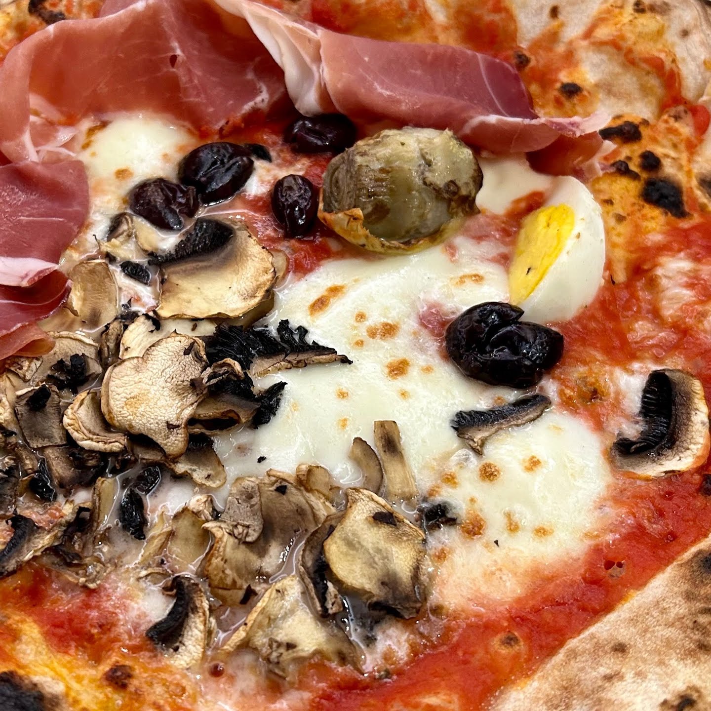 La Gatta Mangiona by null