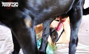 Girl shoots animal porn video with horse luxuretv jpg x With animals