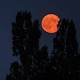 'Super blood moon' to give stargazers a rare show 