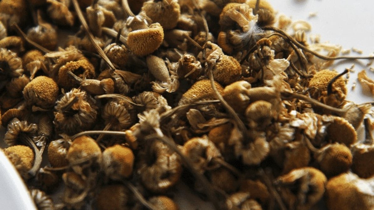Jayida Ché Herbal Tea Spot by null