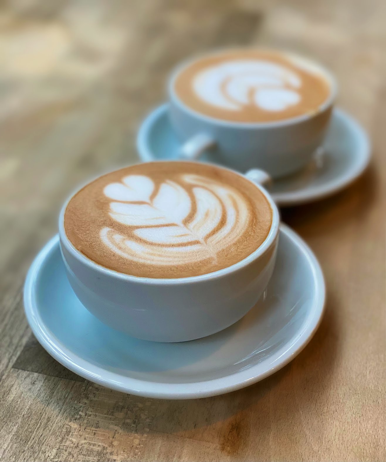 7even Seas Coffee Co. by null